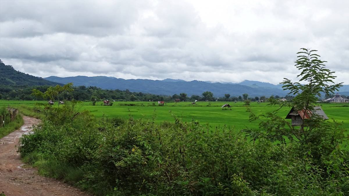 2 Days Luang Namtha Off-Road Cycling and Homestay